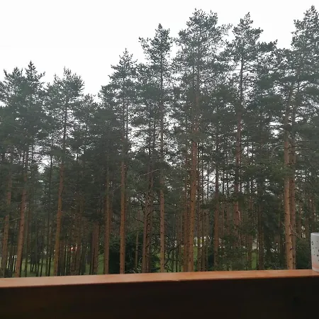 Nele Zlatibor