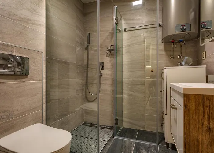 公寓 Nele 兹拉蒂博尔